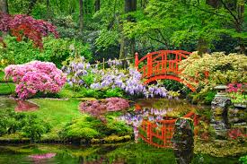 Image result for japanese gardens...