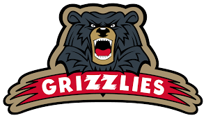 Image result for Glenrothes Grizzlies