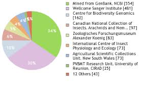 Attēlu rezultāti vaicājumam “Trioza dispar”