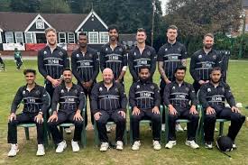 Image result for Ifield Cricket Club