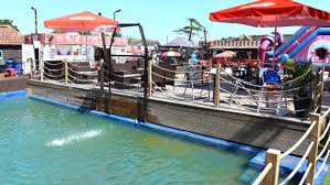 Image result for Lowestoft & Oulton Broad Swimming Club