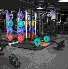 Image result for Village Gym Basingstoke