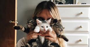 Image result for cat man