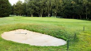 Image result for Downshire Golf Complex