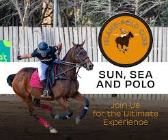 Image result for Cirencester Park Polo Club