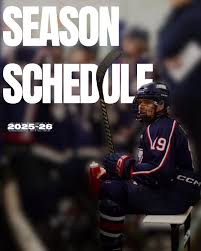 Image result for Glasgow Vipers Roller Hockey Club