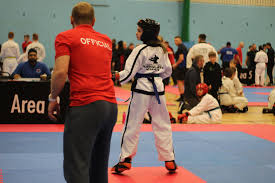 Image result for Kidderminster Tae Kwon Do Tigers
