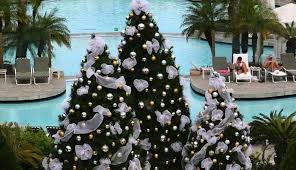 Image result for weihnachten in australien