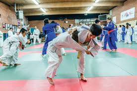Image result for Sovereign Judo Club