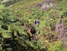 NZ7004 : Jungle Warfare - via Daymix