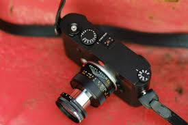 Attēlu rezultāti vaicājumam “Licea minima macro”