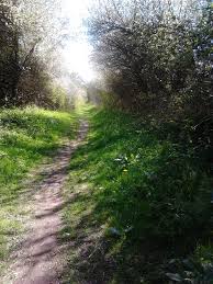 Image result for Gilt Edge Bowling Club