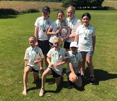 Image result for Harpenden Cricket Club