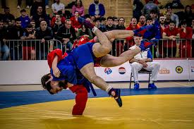 Image result for Doncaster Sambo