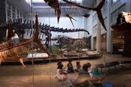 Learn with Carnegie Museum of Natural History