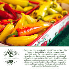 Afbeeldingsresultaat voor hungarian sweet apple sweet pepper