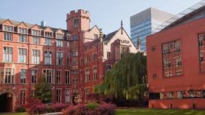 Image result for University of Sheffield Ultimate- Phat 'eds