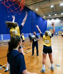 Image result for Fenton Manor Netball Club