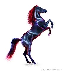 Image result for jill greenberg