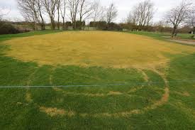 Image result for Abbotsley