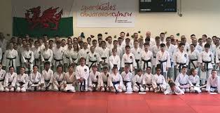 Image result for Newport Kyokushin Karate Club