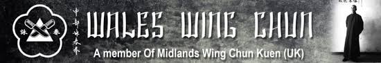 Image result for Midlands Wing Chun