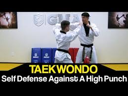Image result for Tkd Self Defense