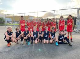 Image result for Carlton Netball Club