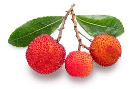 Attēlu rezultāti vaicājumam “Nardus stricta fruit”