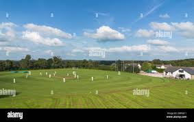 Image result for Forest Green Cricket Club
