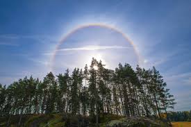 Kuvahaun tulos haulle haloilmi