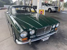 Image result for Racing Green 1981 Jaguar