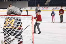 Image result for SkatesCool Club