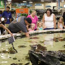 Image result for The Lancaster Fish