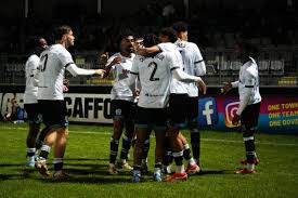 Image result for Dorking Football Club Limited