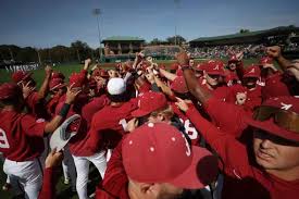 Image result for Hessle Baseball Club