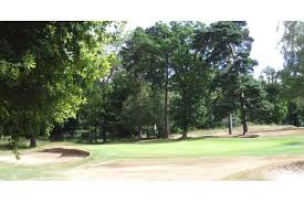 Image result for Chelmsford Gc