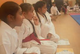 Image result for HEIWA SHOTOKAN KARATE CLUB
