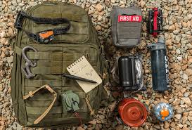 Image result for molle