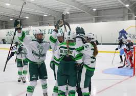 Image result for Widnes Ladies Hockey Club