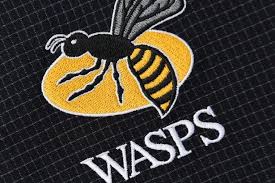Image result for Wasps Football Club