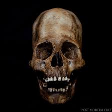 Image result for elongated skulls