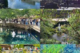 Image result for 水野X68仁義