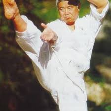 Image result for Crowtorne Shotokai