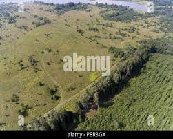 Attēlu rezultāti vaicājumam “Caprimulgus europaeus nest”