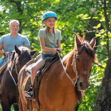 Image result for Old Park Riding Stables