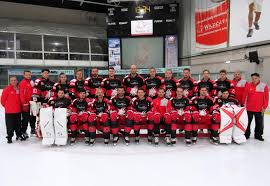 Image result for Swindon Panthers