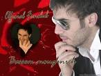 Official Fanclub Bassem