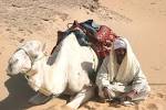 Desert Life by Bedouin Life