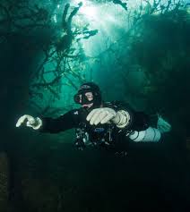 Image result for Southdown Divers